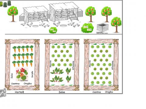 Desenho da horta do Centro Educativo Navarro de Paiva